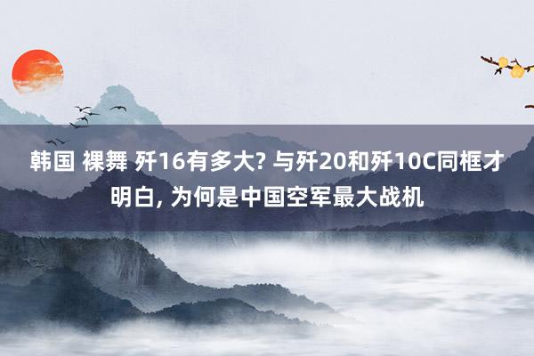 韩国 裸舞 歼16有多大? 与歼20和歼10C同框才明白， 为何是中国空军最大战机