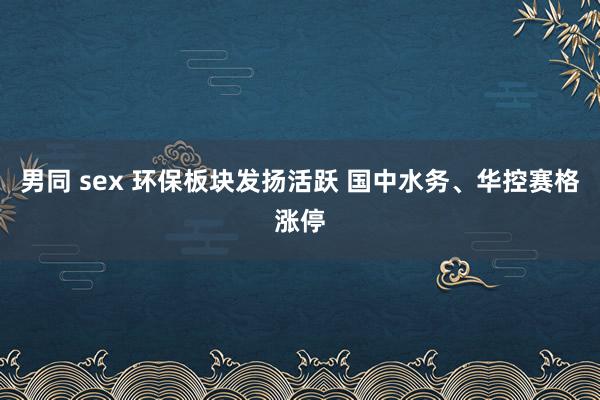 男同 sex 环保板块发扬活跃 国中水务、华控赛格涨停