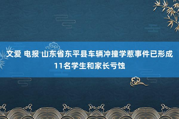 文爱 电报 山东省东平县车辆冲撞学惹事件已形成11名学生和家长亏蚀