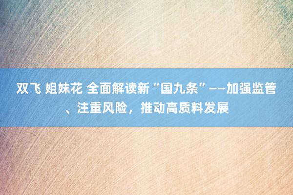 双飞 姐妹花 全面解读新“国九条”——加强监管、注重风险，推动高质料发展