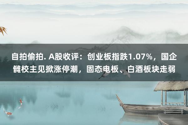 自拍偷拍. A股收评：创业板指跌1.07%，国企雠校主见掀涨停潮，固态电板、白酒板块走弱