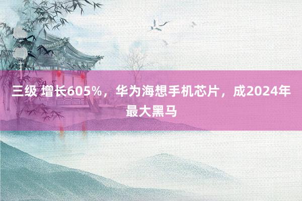 三级 增长605%，华为海想手机芯片，成2024年最大黑马