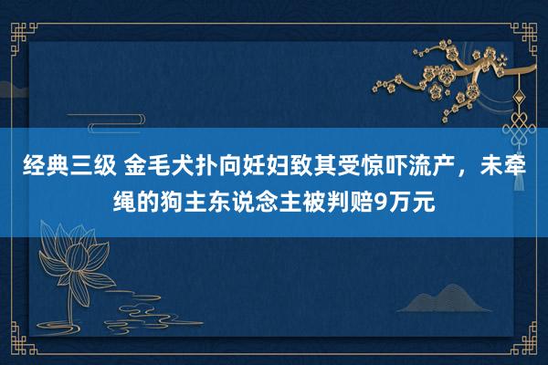 经典三级 金毛犬扑向妊妇致其受惊吓流产，未牵绳的狗主东说念主被判赔9万元