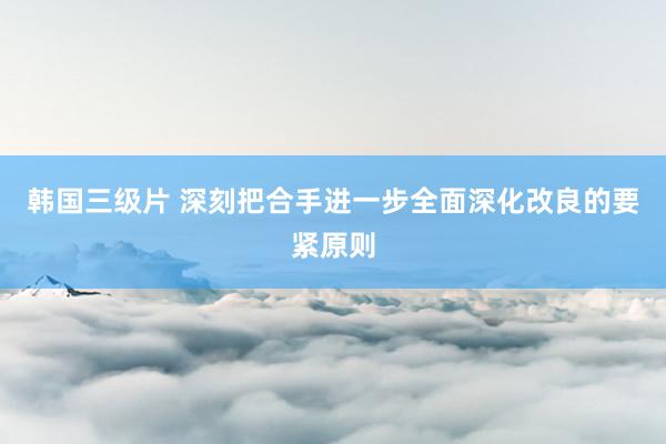 韩国三级片 深刻把合手进一步全面深化改良的要紧原则