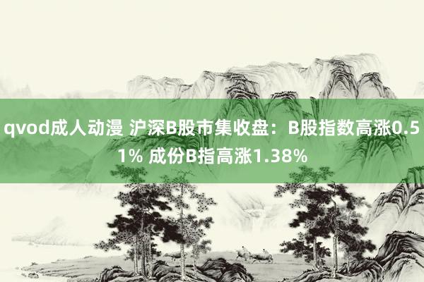 qvod成人动漫 沪深B股市集收盘：B股指数高涨0.51% 成份B指高涨1.38%