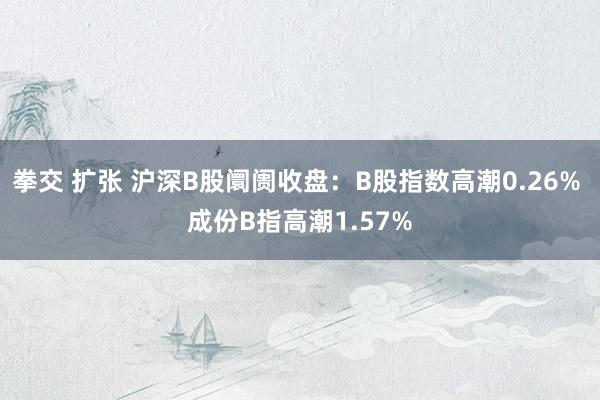 拳交 扩张 沪深B股阛阓收盘：B股指数高潮0.26% 成份B指高潮1.57%