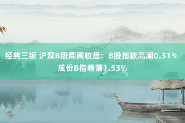 经典三级 沪深B股阛阓收盘：B股指数高潮0.31% 成份B指着落1.53%