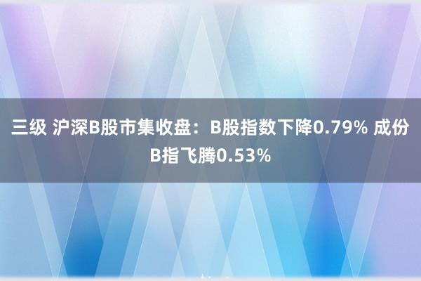 三级 沪深B股市集收盘：B股指数下降0.79% 成份B指飞腾0.53%