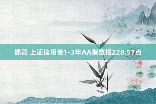 裸舞 上证信用债1-3年AA指数报228.57点