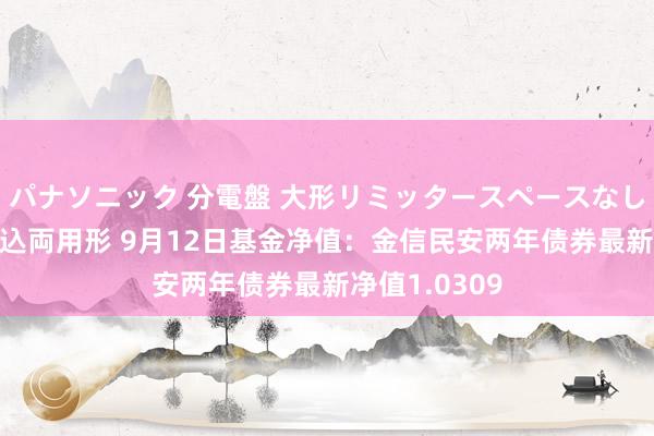 パナソニック 分電盤 大形リミッタースペースなし 露出・半埋込両用形 9月12日基金净值：金信民安两年债券最新净值1.0309