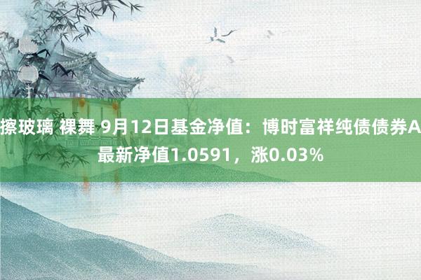 擦玻璃 裸舞 9月12日基金净值：博时富祥纯债债券A最新净值1.0591，涨0.03%