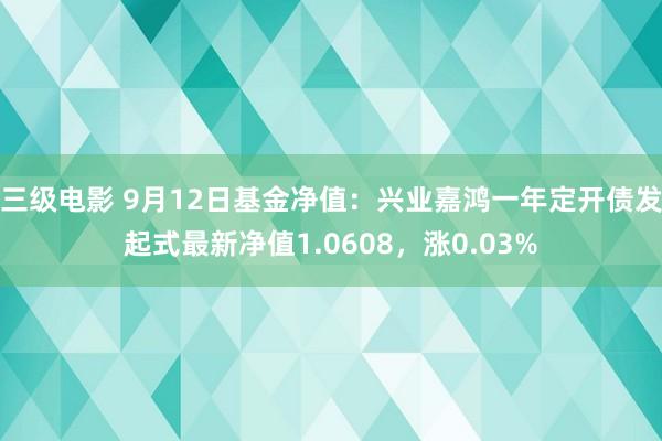 三级电影 9月12日基金净值：兴业嘉鸿一年定开债发起式最新净值1.0608，涨0.03%