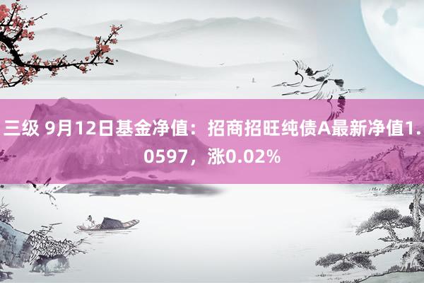 三级 9月12日基金净值：招商招旺纯债A最新净值1.0597，涨0.02%