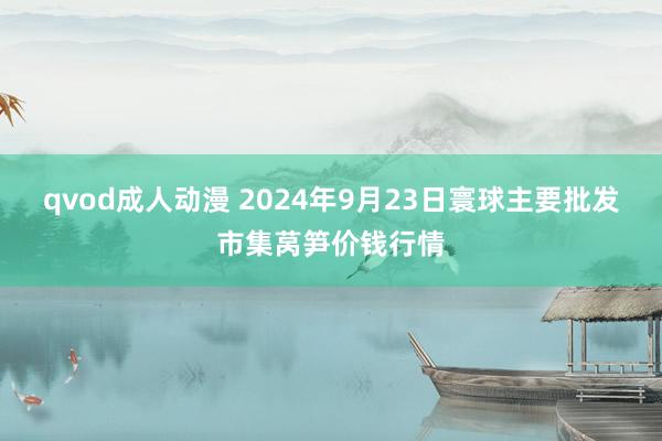 qvod成人动漫 2024年9月23日寰球主要批发市集莴笋价钱行情