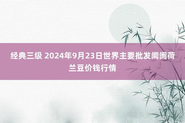 经典三级 2024年9月23日世界主要批发阛阓荷兰豆价钱行情