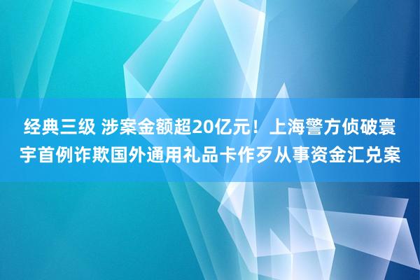 经典三级 涉案金额超20亿元！上海警方侦破寰宇首例诈欺国外通用礼品卡作歹从事资金汇兑案