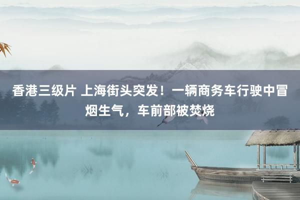 香港三级片 上海街头突发！一辆商务车行驶中冒烟生气，车前部被焚烧