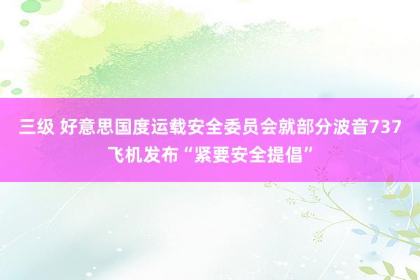 三级 好意思国度运载安全委员会就部分波音737飞机发布“紧要安全提倡”