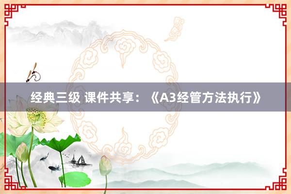 经典三级 课件共享：《A3经管方法执行》