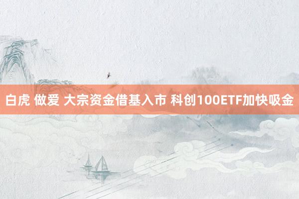 白虎 做爱 大宗资金借基入市 科创100ETF加快吸金