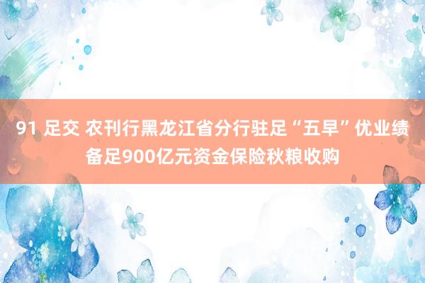 91 足交 农刊行黑龙江省分行驻足“五早”优业绩备足900亿元资金保险秋粮收购