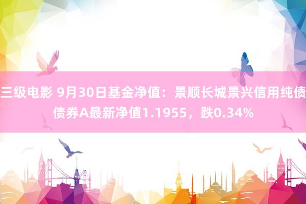 三级电影 9月30日基金净值：景顺长城景兴信用纯债债券A最新净值1.1955，跌0.34%