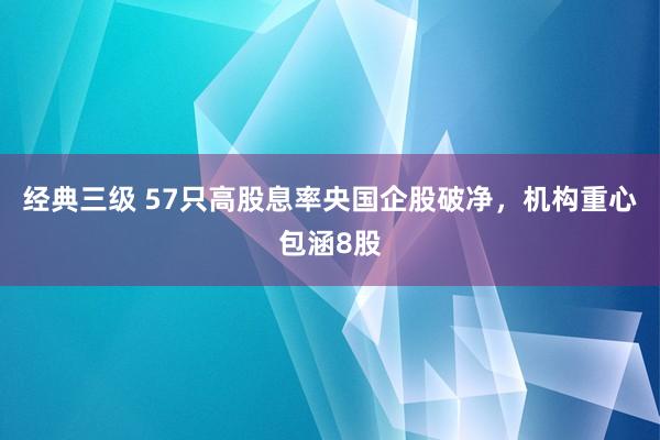 经典三级 57只高股息率央国企股破净，机构重心包涵8股