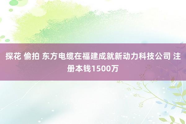 探花 偷拍 东方电缆在福建成就新动力科技公司 注册本钱1500万