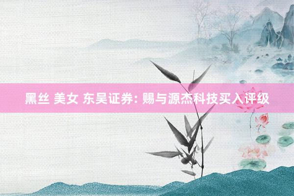 黑丝 美女 东吴证券: 赐与源杰科技买入评级