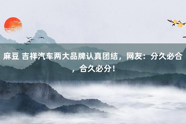 麻豆 吉祥汽车两大品牌认真团结，网友：分久必合，合久必分！