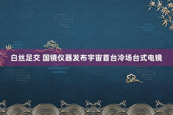 白丝足交 国镜仪器发布宇宙首台冷场台式电镜