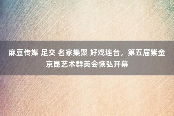 麻豆传媒 足交 名家集聚 好戏连台，第五届紫金京昆艺术群英会恢弘开幕