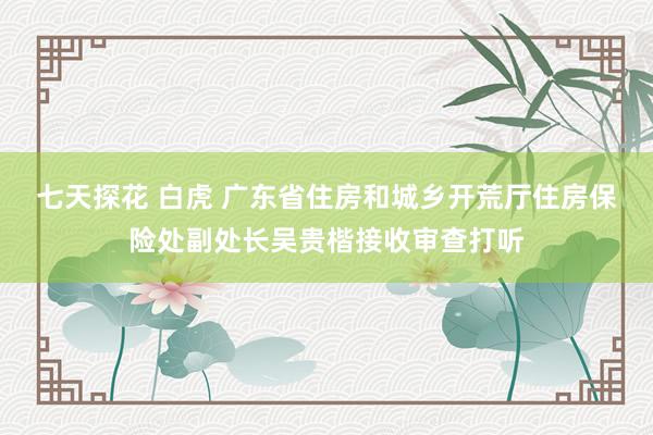 七天探花 白虎 广东省住房和城乡开荒厅住房保险处副处长吴贵楷接收审查打听