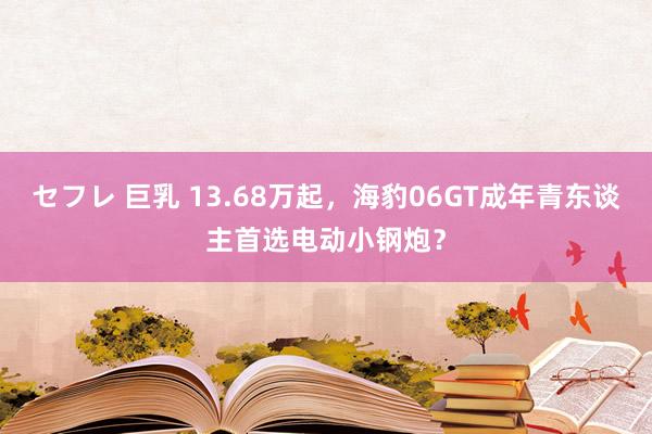 セフレ 巨乳 13.68万起，海豹06GT成年青东谈主首选电动小钢炮？