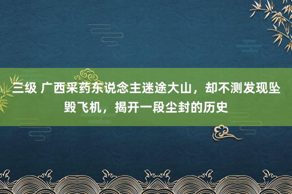 三级 广西采药东说念主迷途大山，却不测发现坠毁飞机，揭开一段尘封的历史