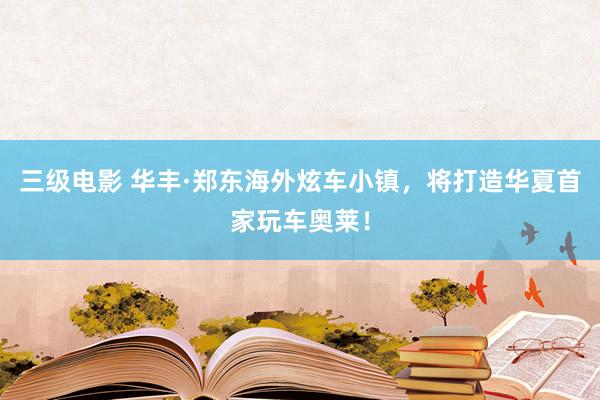 三级电影 华丰·郑东海外炫车小镇，将打造华夏首家玩车奥莱！