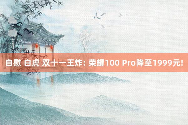 自慰 白虎 双十一王炸: 荣耀100 Pro降至1999元!