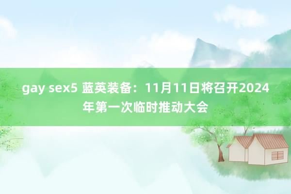 gay sex5 蓝英装备：11月11日将召开2024年第一次临时推动大会