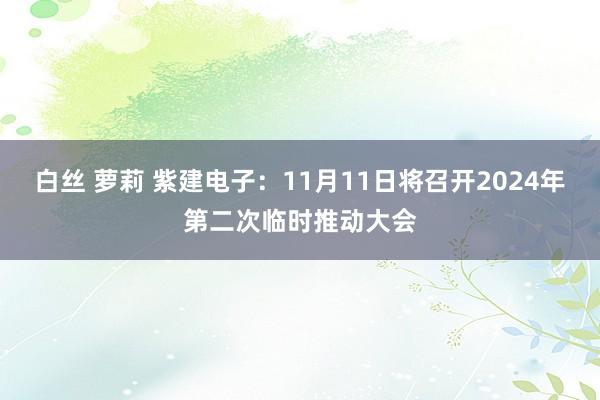 白丝 萝莉 紫建电子：11月11日将召开2024年第二次临时推动大会