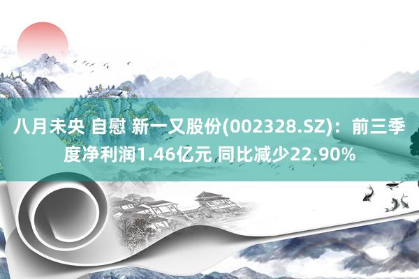 八月未央 自慰 新一又股份(002328.SZ)：前三季度净利润1.46亿元 同比减少22.90%