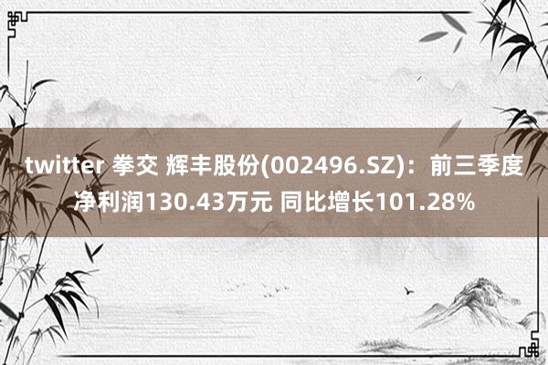 twitter 拳交 辉丰股份(002496.SZ)：前三季度净利润130.43万元 同比增长101.28%