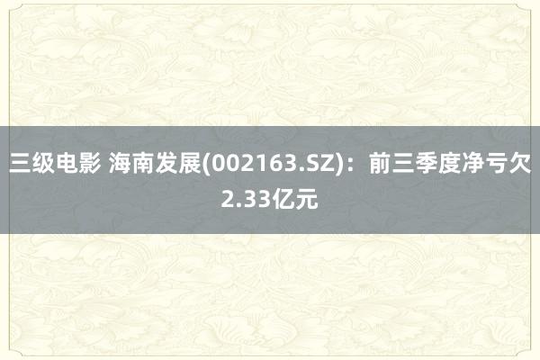 三级电影 海南发展(002163.SZ)：前三季度净亏欠2.33亿元