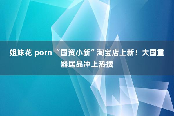 姐妹花 porn “国资小新”淘宝店上新！大国重器居品冲上热搜