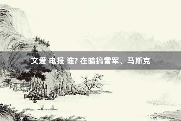 文爱 电报 谁? 在暗搞雷军、马斯克