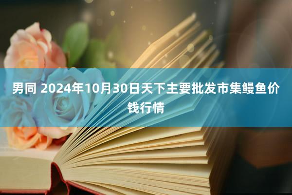 男同 2024年10月30日天下主要批发市集鳗鱼价钱行情