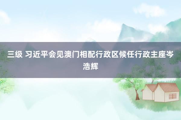 三级 习近平会见澳门相配行政区候任行政主座岑浩辉