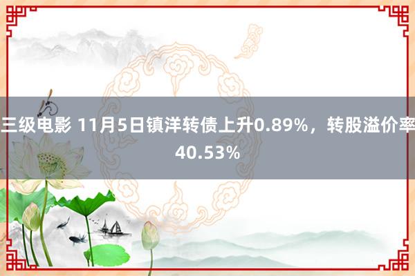 三级电影 11月5日镇洋转债上升0.89%，转股溢价率40.53%