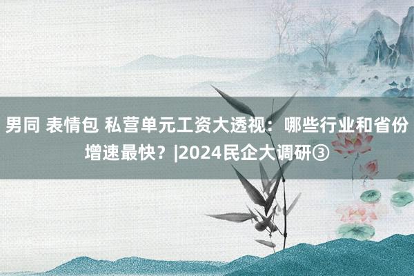 男同 表情包 私营单元工资大透视：哪些行业和省份增速最快？|2024民企大调研③