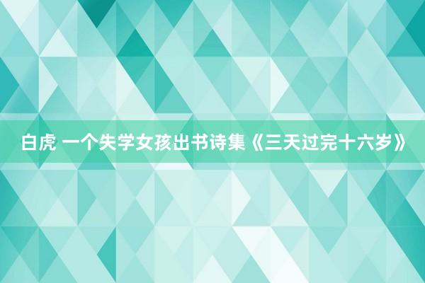 白虎 一个失学女孩出书诗集《三天过完十六岁》