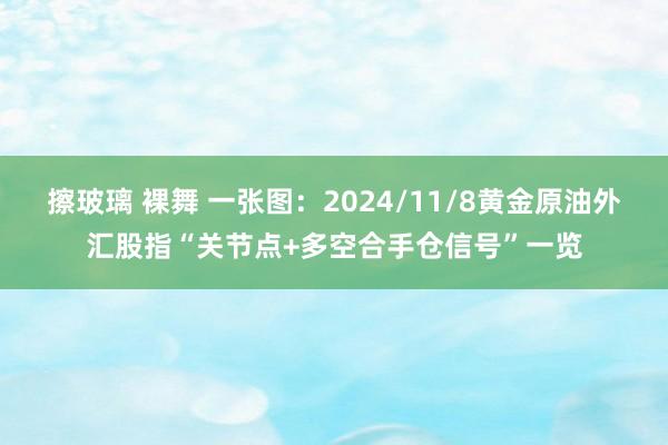 擦玻璃 裸舞 一张图：2024/11/8黄金原油外汇股指“关节点+多空合手仓信号”一览